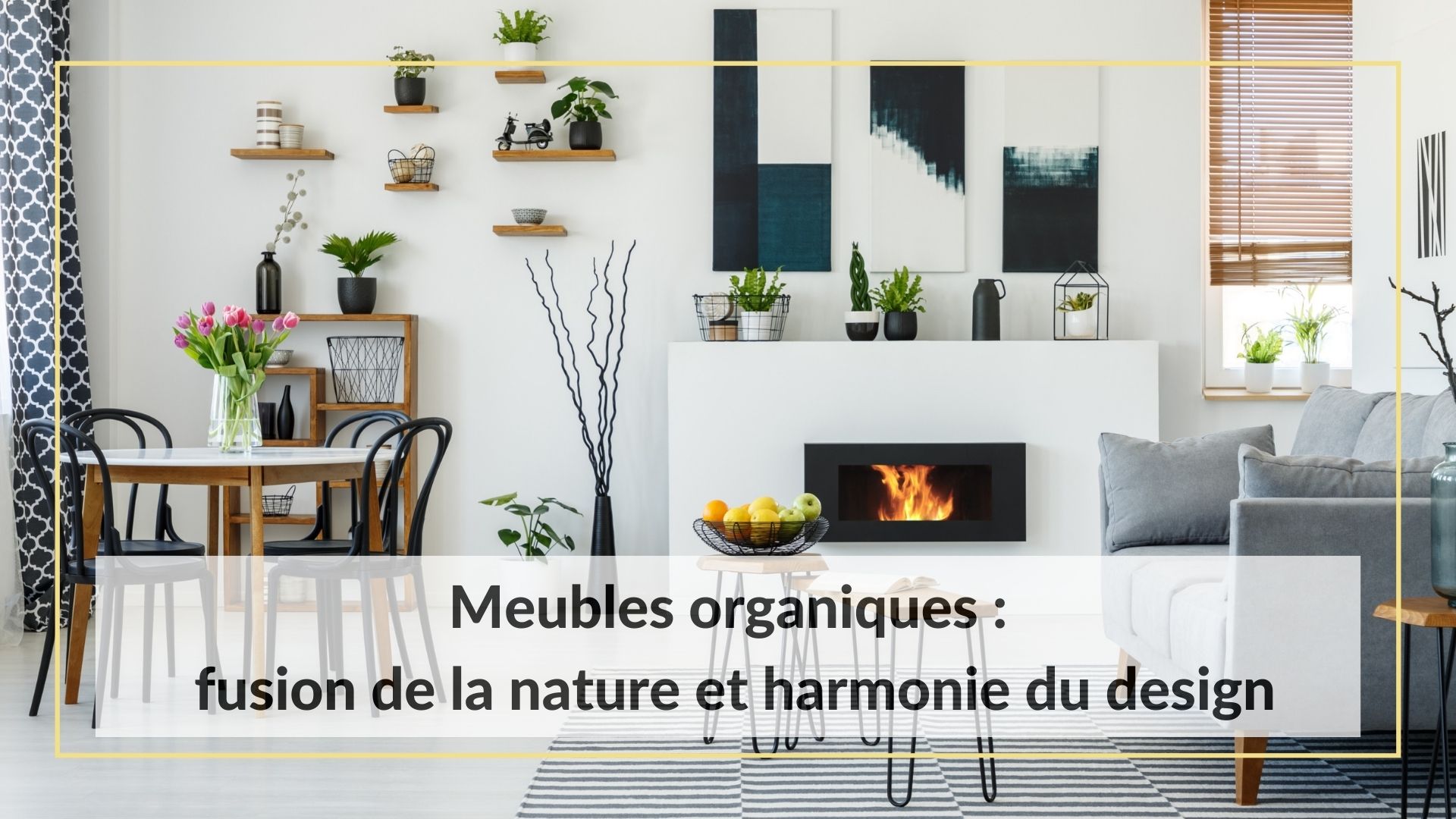 Meubles organiques : fusion de la nature et harmonie du design